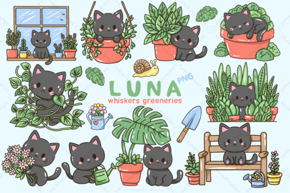 Download Kawaii Black Cat &amp; House Plants - Plant Collection