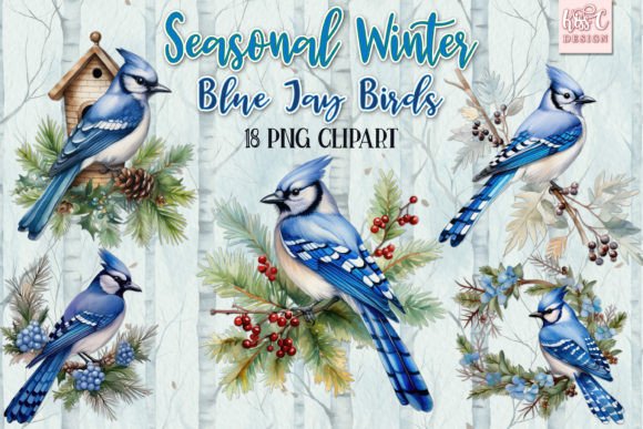 Download Winter Season Blue Jay Bird Illustration - Bird illustration Collection